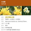 게으른농부 이미지