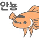 직화낙지 이미지