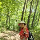 뚝섬한강공원-14 이미지