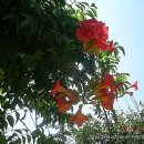 운기농장 이미지