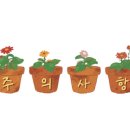 식물101 이미지