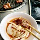 [파주/야당] 아기 강아지도 너무 편한 무고레, (+쟈빠따도그) 내돈내산 후기