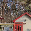 숲속의 하트별 이미지