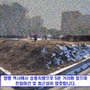 세광 부동산중개사무소 이미지