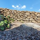 하도 가을이네 민박 이미지