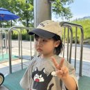 카페융가비 | 한여름 서울대공원 동물원 후기 | 코끼리열차·리프트·사자카페 솔직 경험