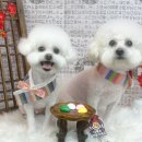 릴리줄리살롱 이미지