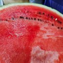 사인경로당 이미지