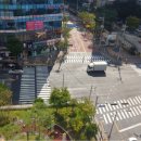 신한동물병원 앞 이미지