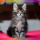 메인쿤 하우스 이미지