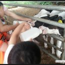 고구려목장 이미지