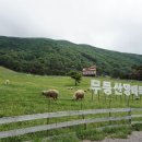 목동목장 이미지