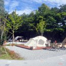 경상북도교육청김천오토캠핑장 이미지