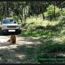 어쩌다동막골 이미지