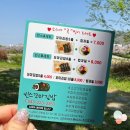 빈스꼬마김밥