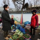 순창전통시장 고추전 이미지