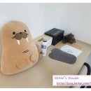 모아쉬