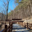 도림사오토갬핑리조트 이미지