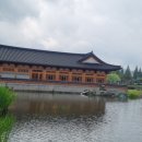 레미엣나 (주) 연꽃향기 | 7월 첫째주 전주 덕진공원 연꽃 개화 상태와 여름 산책 후기