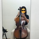 (1:1레슨)첼로 개인레슨(30분) 이미지