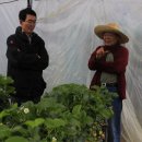 최종명 농장 이미지