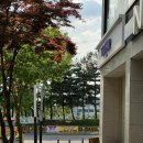 소로르헤어 | 천안 백석동 소로르헤어 초등 남자아이 커트 내돈내산 후기