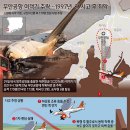 사고네 이미지