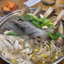 유명동물병원(출장전문) 이미지