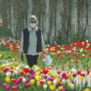 용비쉼터 이미지