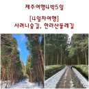 남원읍 청소년문화의집 인근 | 제주여행. 제주4박일 여행 [4일차 여행] 한라산 둘레길, 사려니 숲길