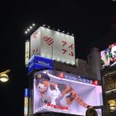 전광판 | 🐈‍도쿄 신주쿠 3D 고양이 전광판 후기 &amp; 파칭코체험