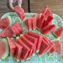 정남진휴랜드관광농원 이미지