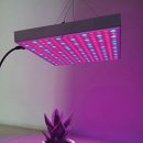 햇빛농장 이미지