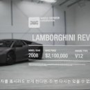 비스타스킨