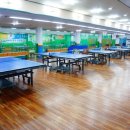 힐링탁구 이미지