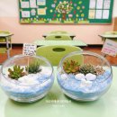 책과 함께하는 푸른별 지구만들기 | 부산 초등학교 원예수업, 북극곰 테라리움 만들기! 생태 환경 교육