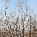 서리풀공원1-22 이미지