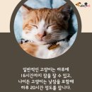 잠꾸러기 - 파주시 가재울로93번길 25-9 | 잠꾸러기