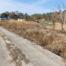 나리공인중개사사무소 이미지