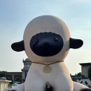 [용인] 캐리비안베이 하이시즌, 에버랜드 무료입장 방법 총 정리(나이트 사파리 후기)