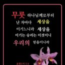 은혜예복 이미지