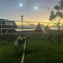 갬성드 애월 이미지