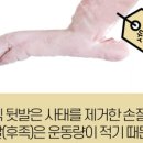 한진축산 이미지