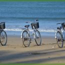 광주카서비스 이미지