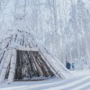 숲을향한시선 이미지