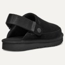 골든스타 이미지