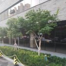 성진빌딩(2층) 이미지