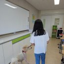 구이초등학교 이미지