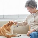 MK동물병원 이미지