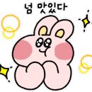 운천샤브샤브칼국수 이미지